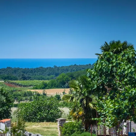 Villa Sunset With Sea View For 6 Persons Near Novigrad Bužinija